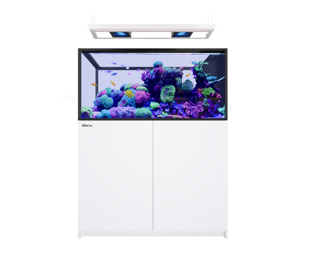 Red Sea Reefer Max Peninsula 500 G3 125cm Aquarium & White Cabinet - 519L