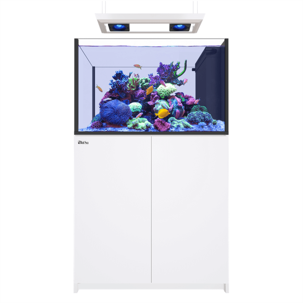 Red Sea Reefer Peninsula 350 G3 Deluxe 96cm Aquarium & White Cabinet - 342L (Incl. 2 X RL115 & Pendant)
