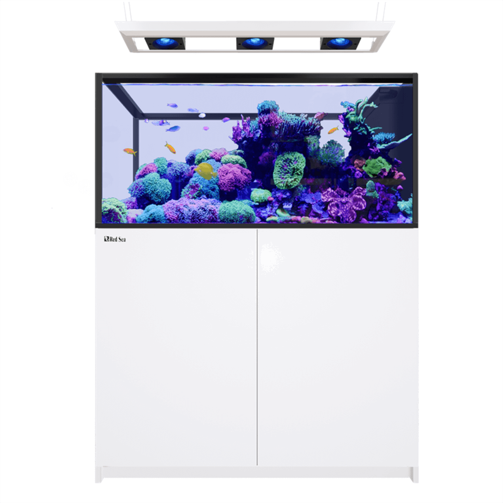 Red Sea Reefer Peninsula 500 G3 Deluxe 125cm Aquarium & White Cabinet - 519L (Incl. 3 X RL115 & Pendant)