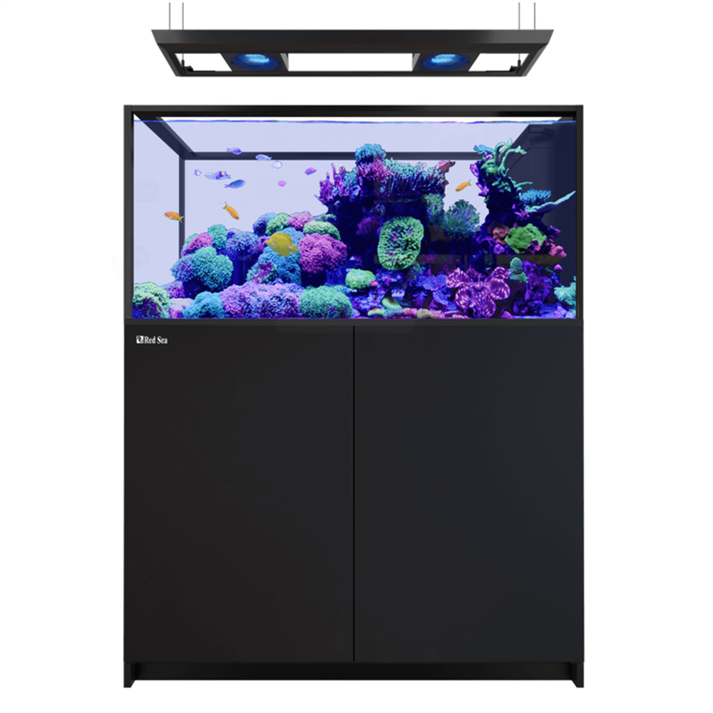 Red Sea Reefer Peninsula 500 G3 Deluxe 125cm Aquarium & Black Cabinet - 519L (Incl. 2 X RL170 & Pendant)