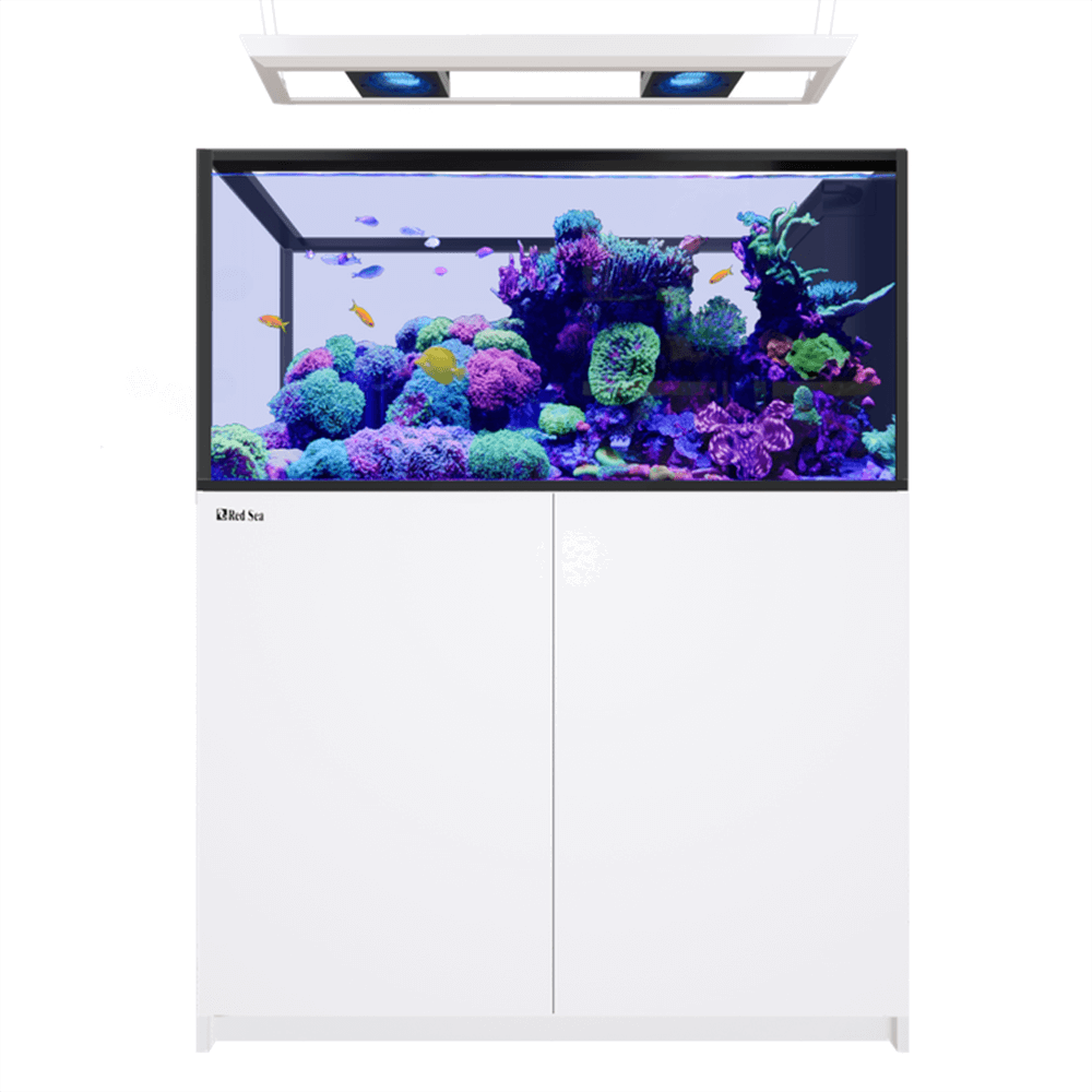 Red Sea Reefer Peninsula 500 G3 Deluxe 125cm Aquarium & White Cabinet - 519L (Incl. 2 X RL170 & Pendant)