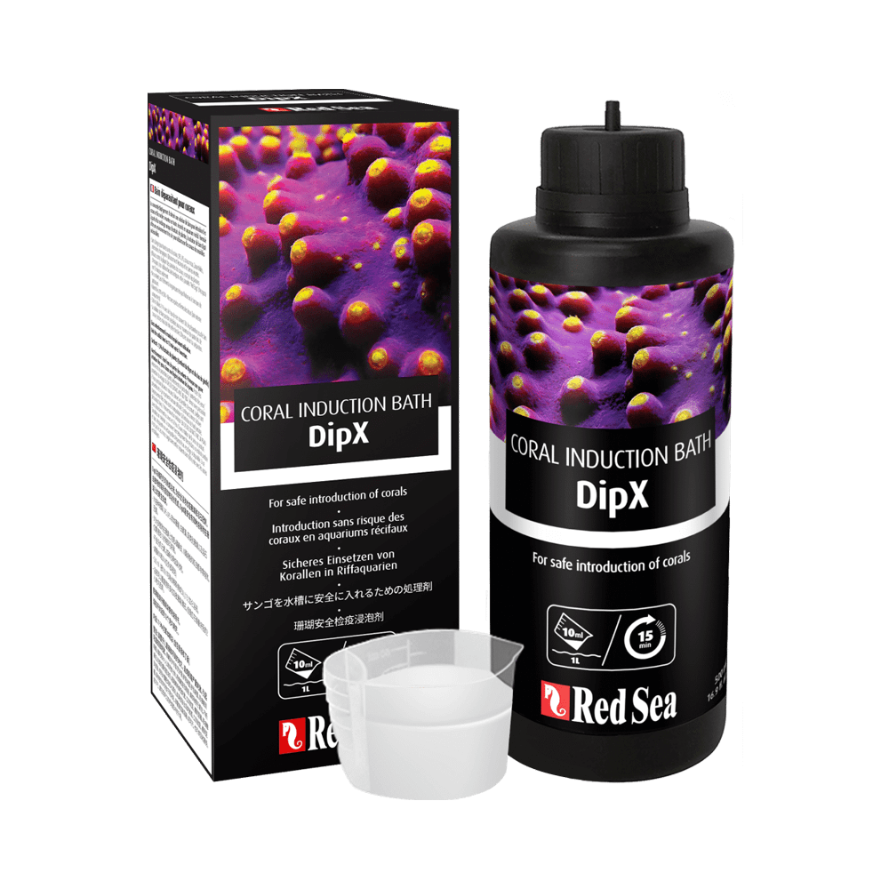 Red Sea DipX