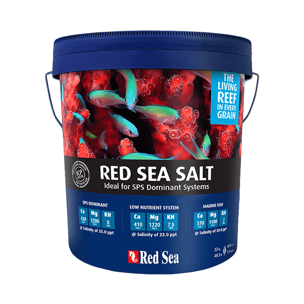 Red Sea Salt