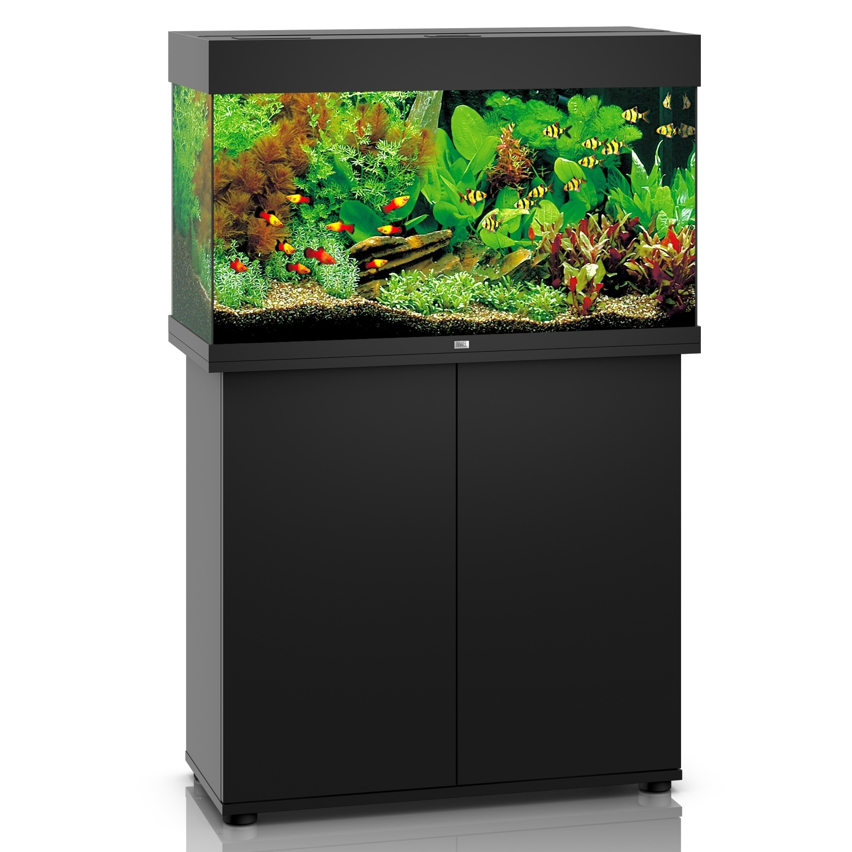 Juwel Rio 125 81cm Aquarium & Black Cabinet - 125L