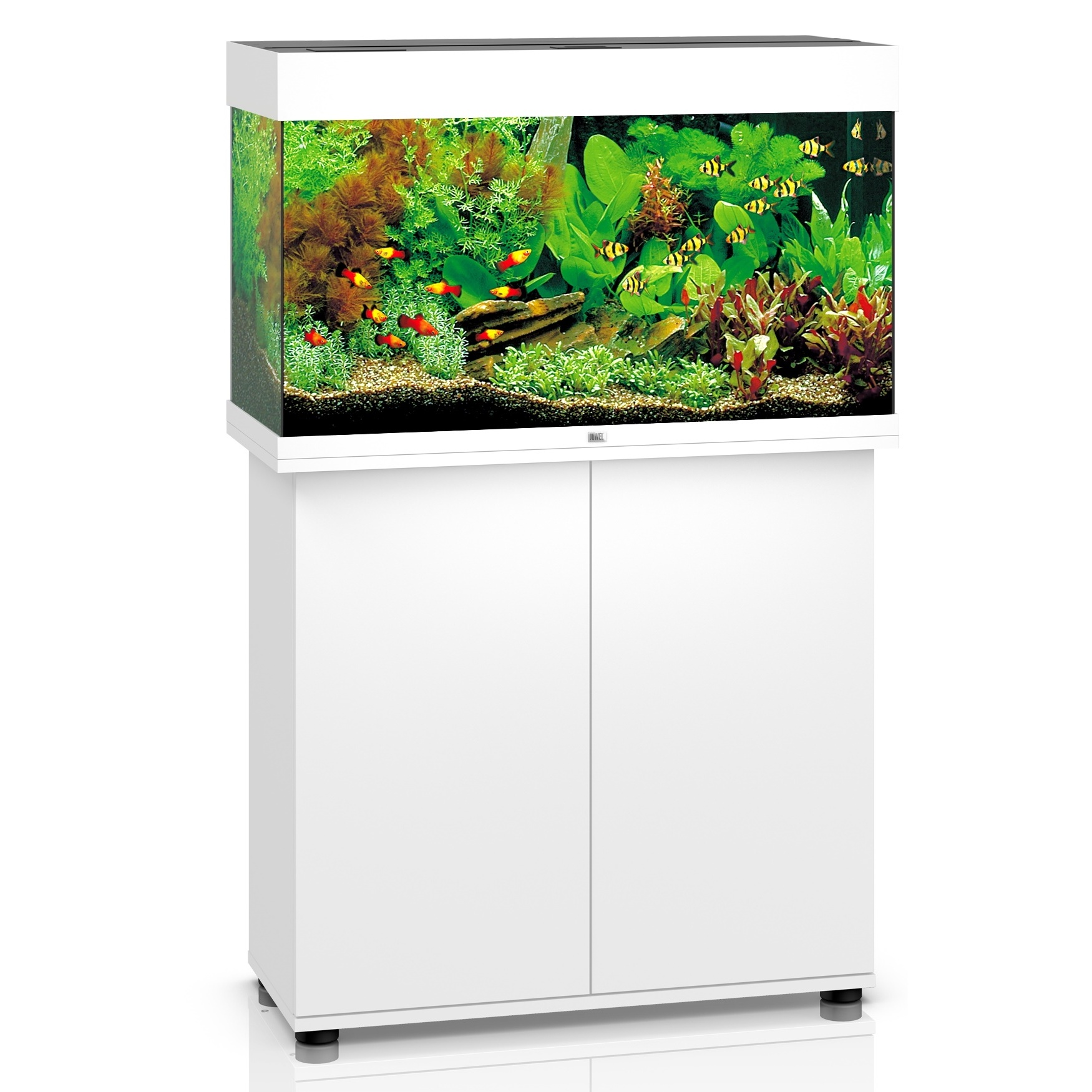 Juwel Rio 125 81cm Aquarium & Cabinet White - 125L