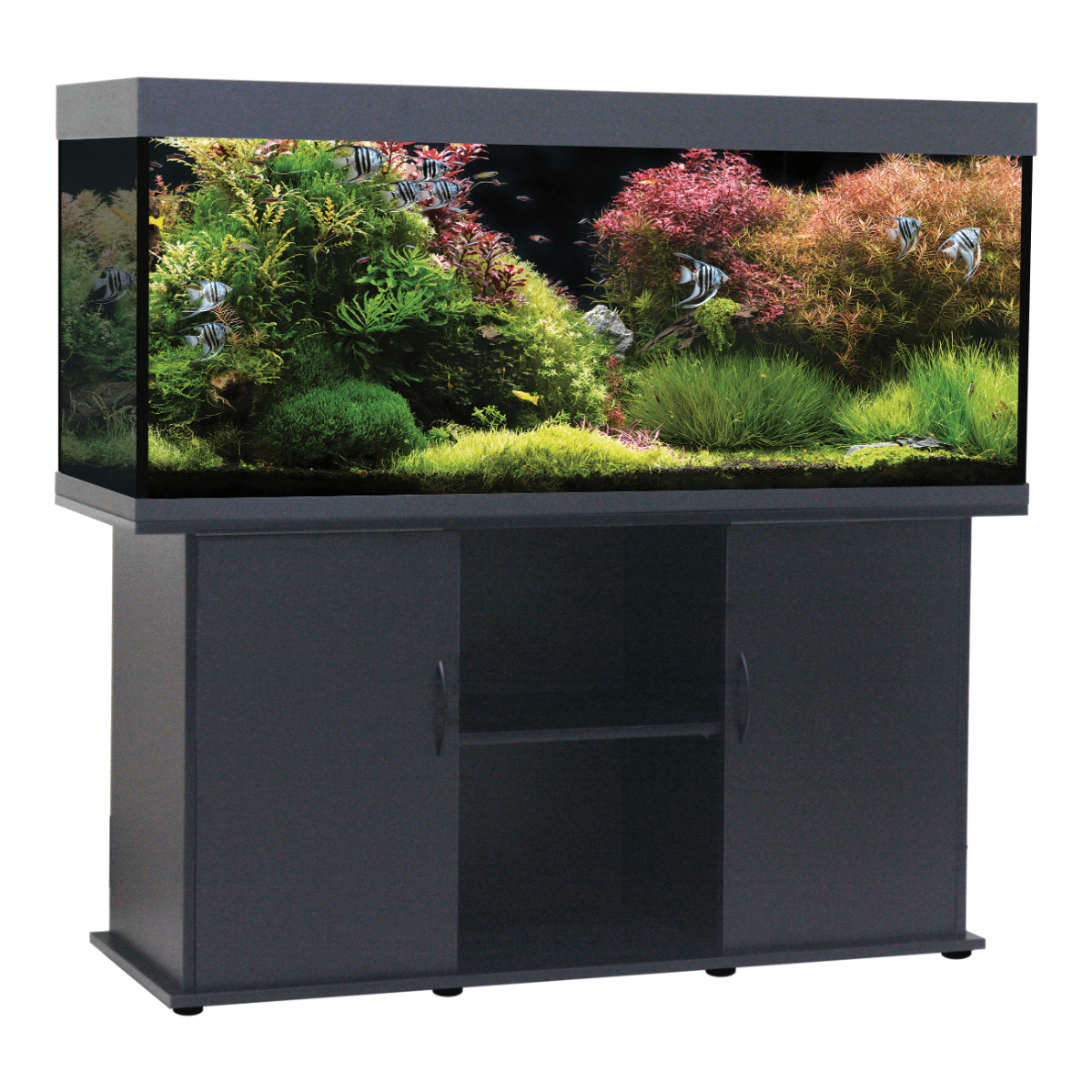 Swell Rio Grande 150cm Aquarium 485L