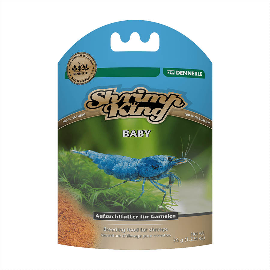 Dennerle Shrimp King Baby