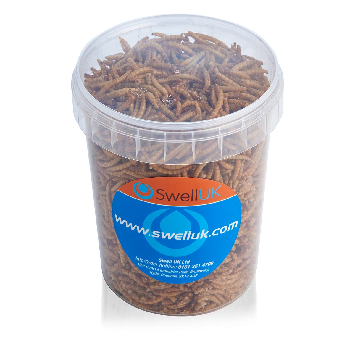 Swell Mealworms