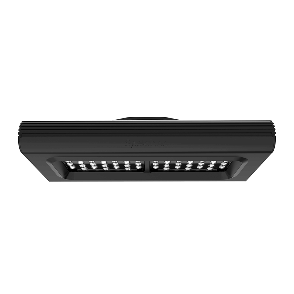 D&D Spektrum High Output LED Light