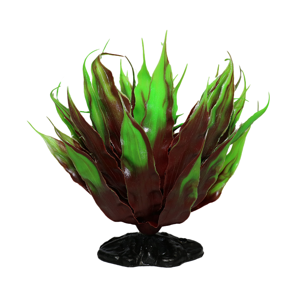 Desert Bush