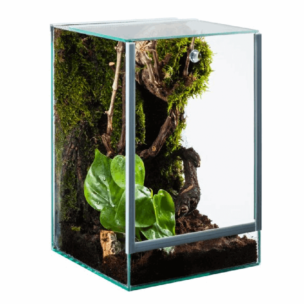 Diversa Spider Terrarium