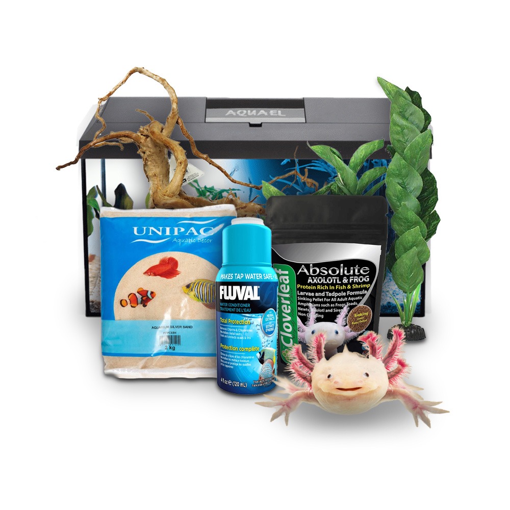 Swell Juvenile Axolotl Starter Kit - Bronze