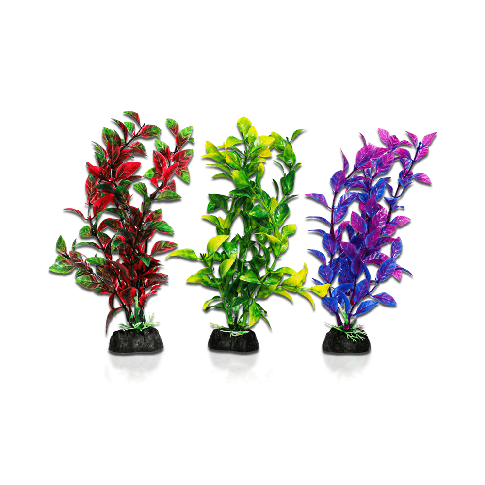 Aqua One Ecoscape Bright - Hygrophila