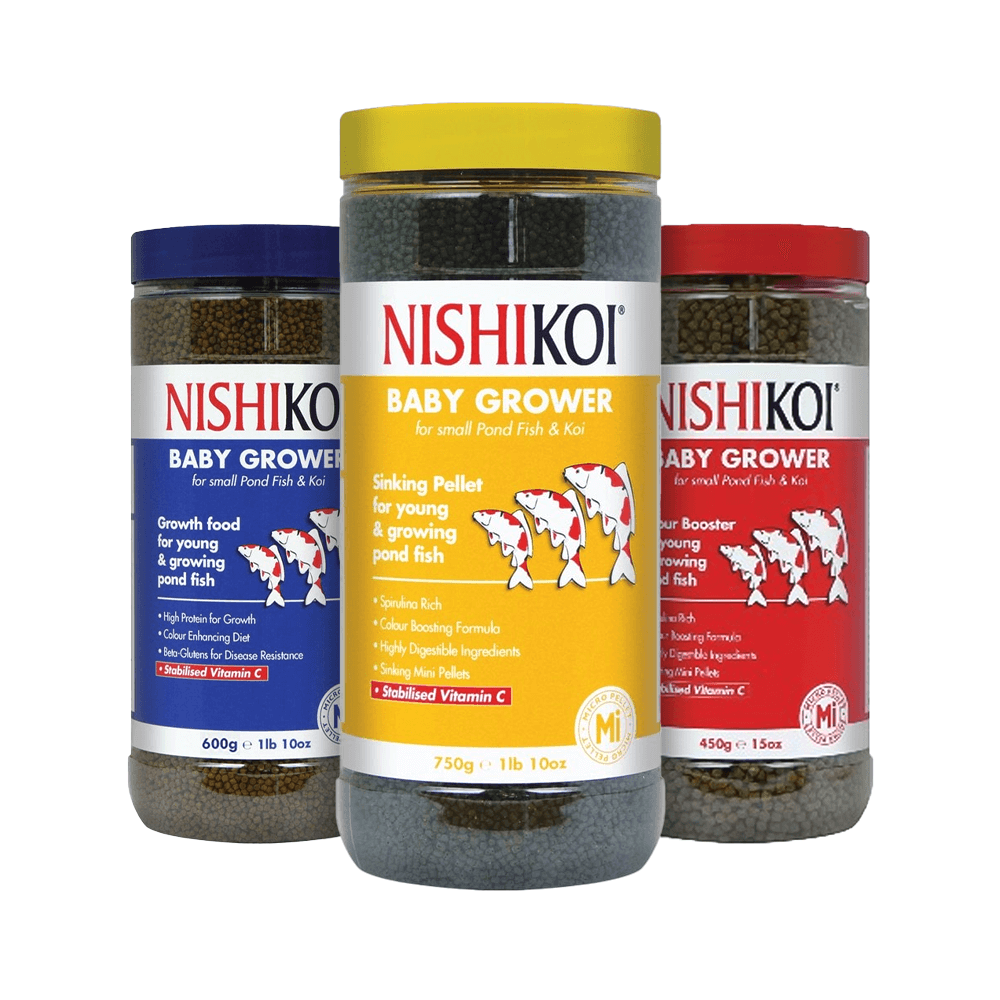 Nishikoi Baby Grower