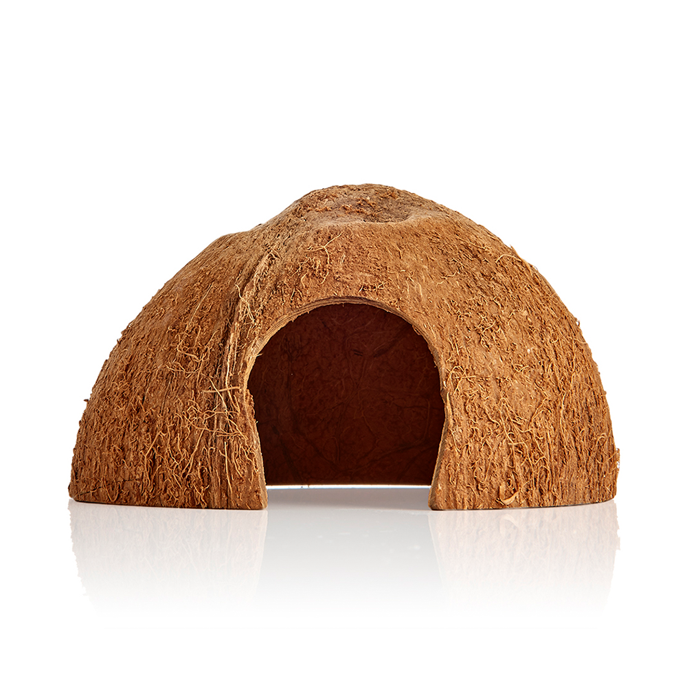 Swell Coconut Half Cave