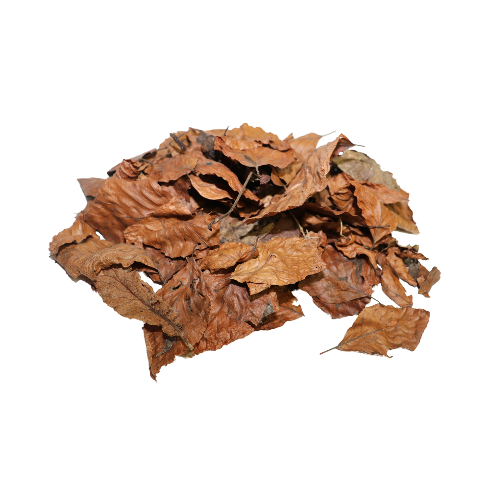 Swell Natural Leaf Litter