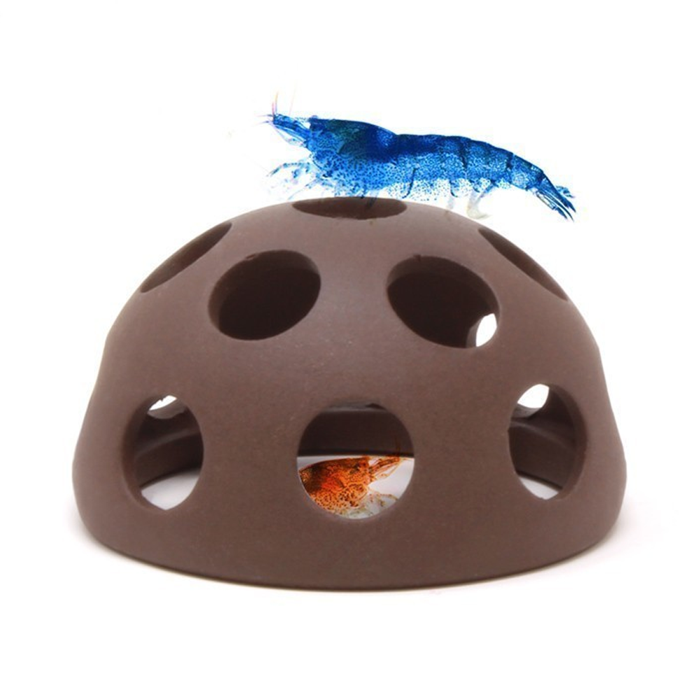 AquaVitro Shrimp House