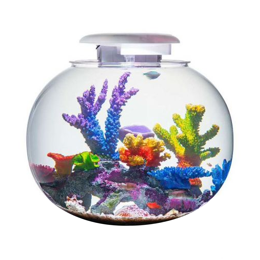 Katachi Kyu Globe Aquarium
