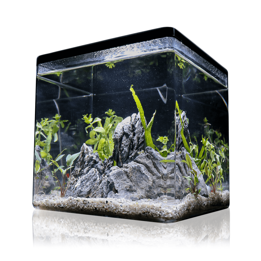 Katachi Haku 30cm Cube Aquarium - 30L