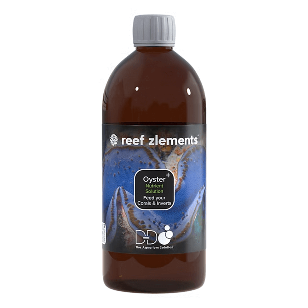 Reef Zlements Oyster+