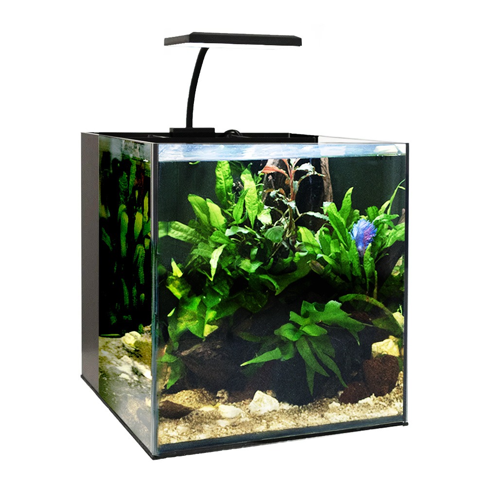 Swell Aquaventure Plus Aquarium 25cm Black - 18L