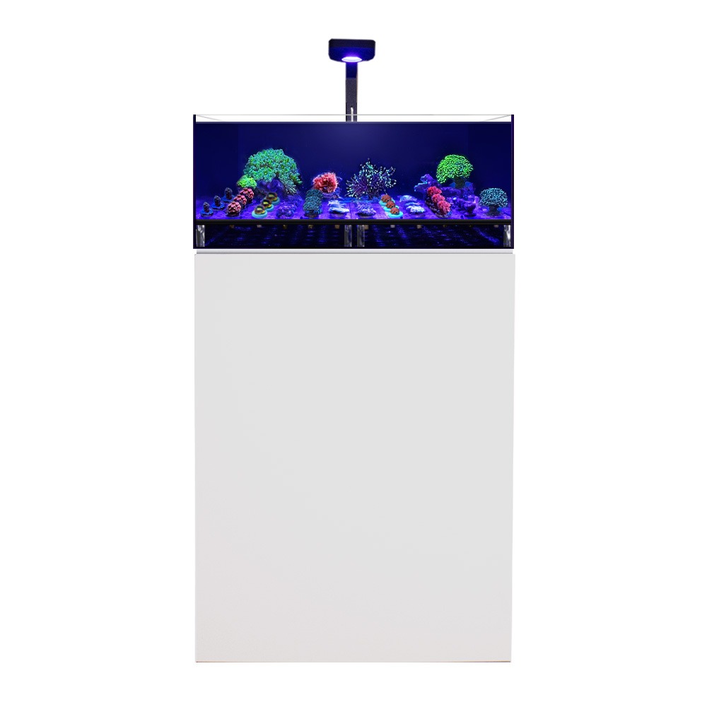 Swell 60cm Coral Tank & Cabinet - 75L