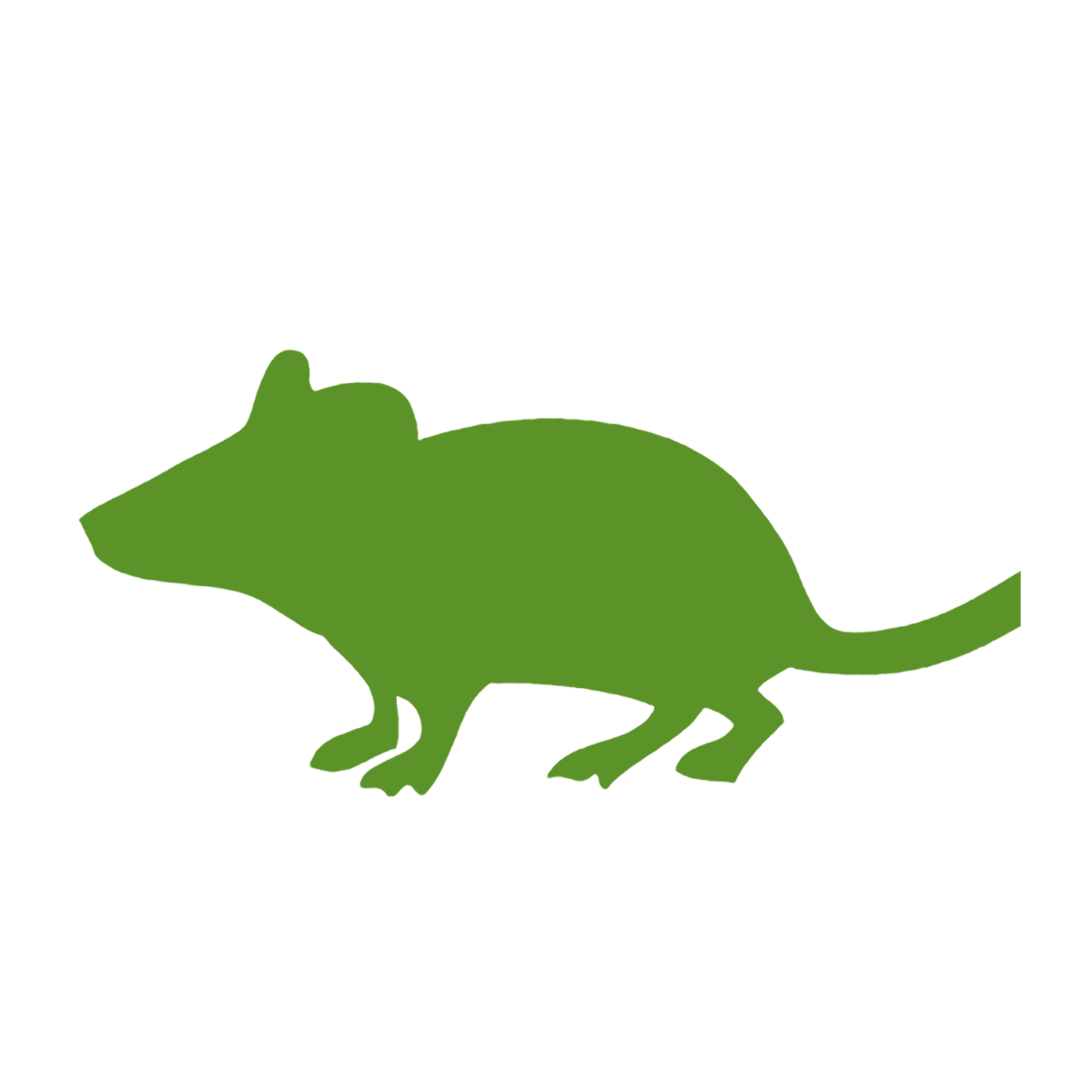 Swell Frozen Mice