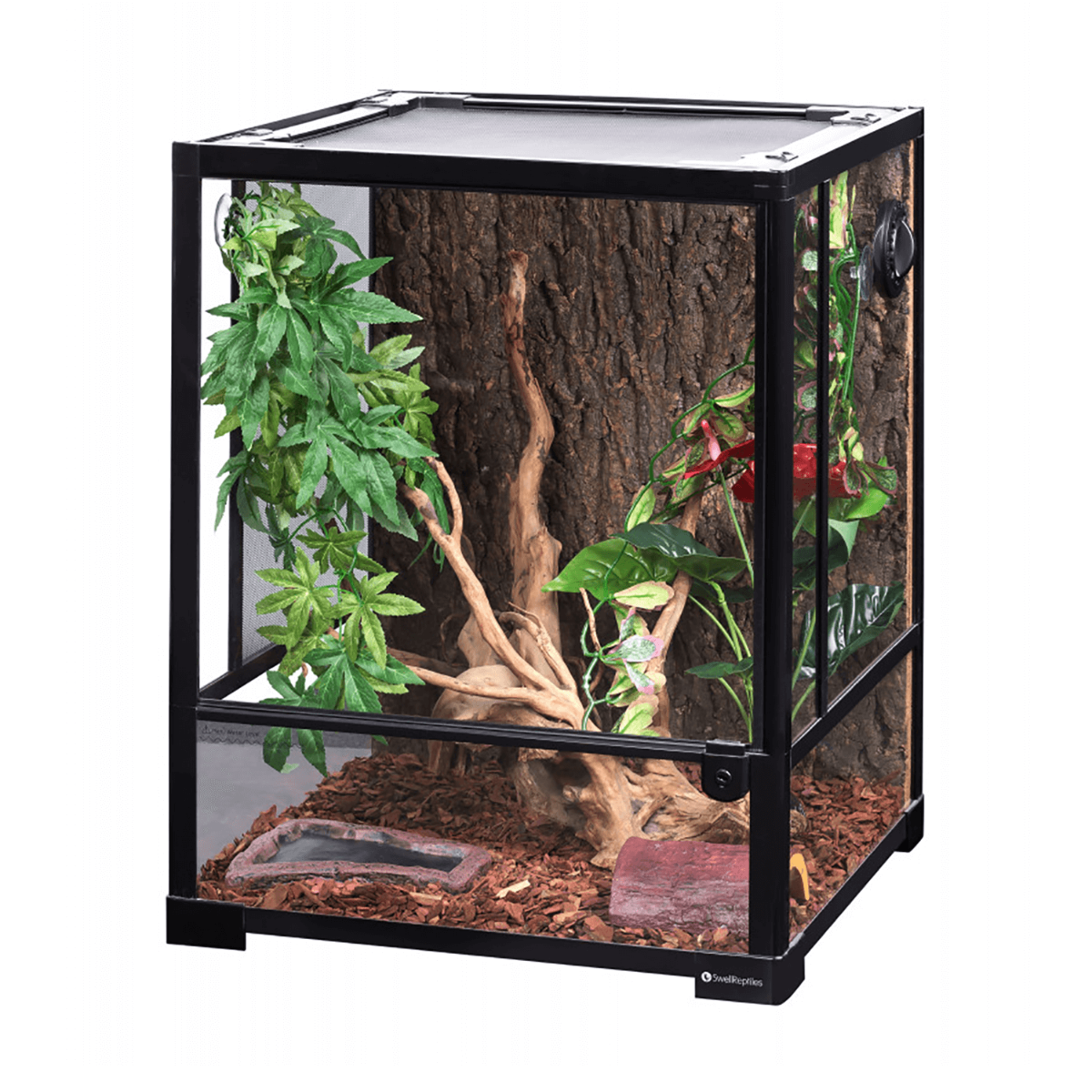 Swell Glass Terrarium - 45 x 45 x 60cm