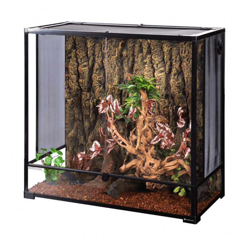 Swell Glass Terrarium - 91 x 45 x 90cm
