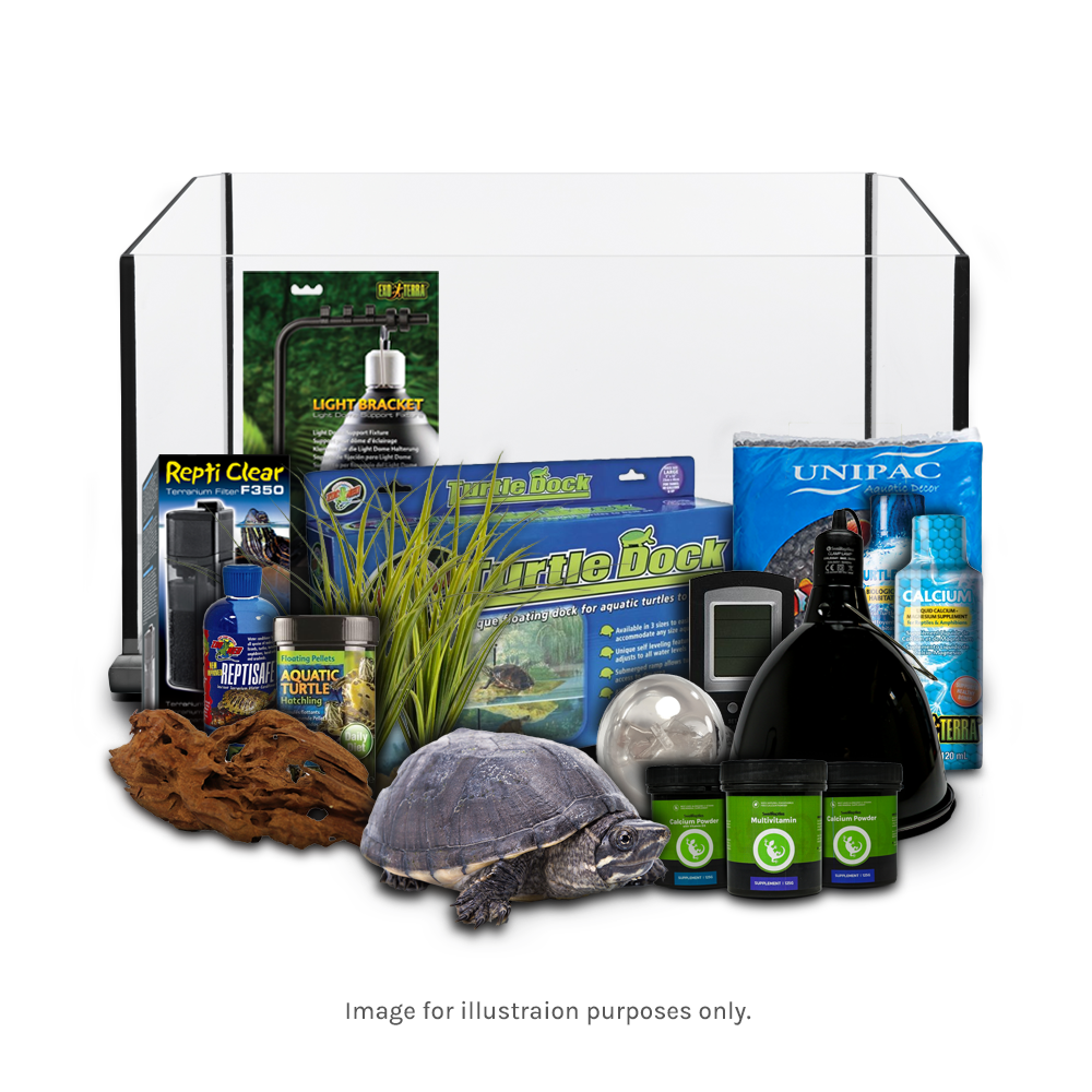 Swell Reptiles Turtle Gold Kit