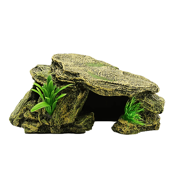 Swell Grass Planted Cave
