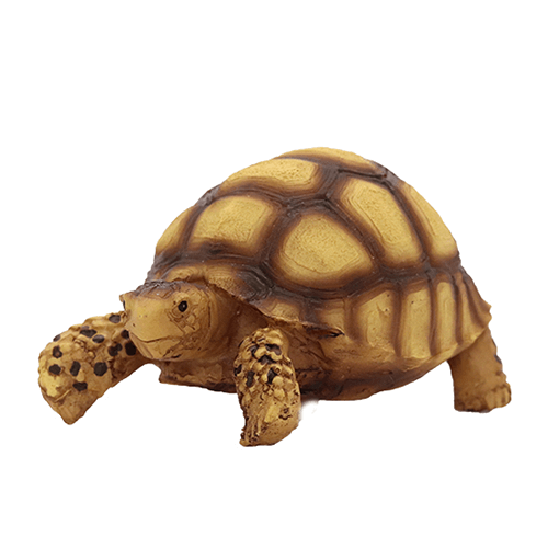 Swell Tortoise Ornament