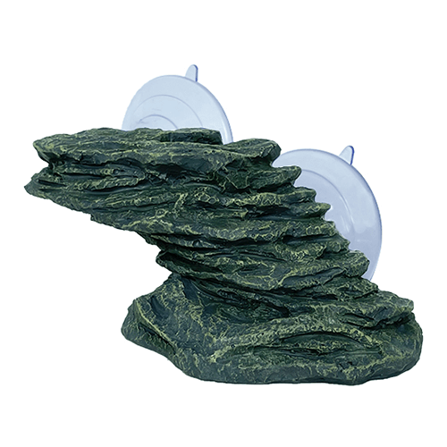 Swell Rocky Turtle Climbing Platform