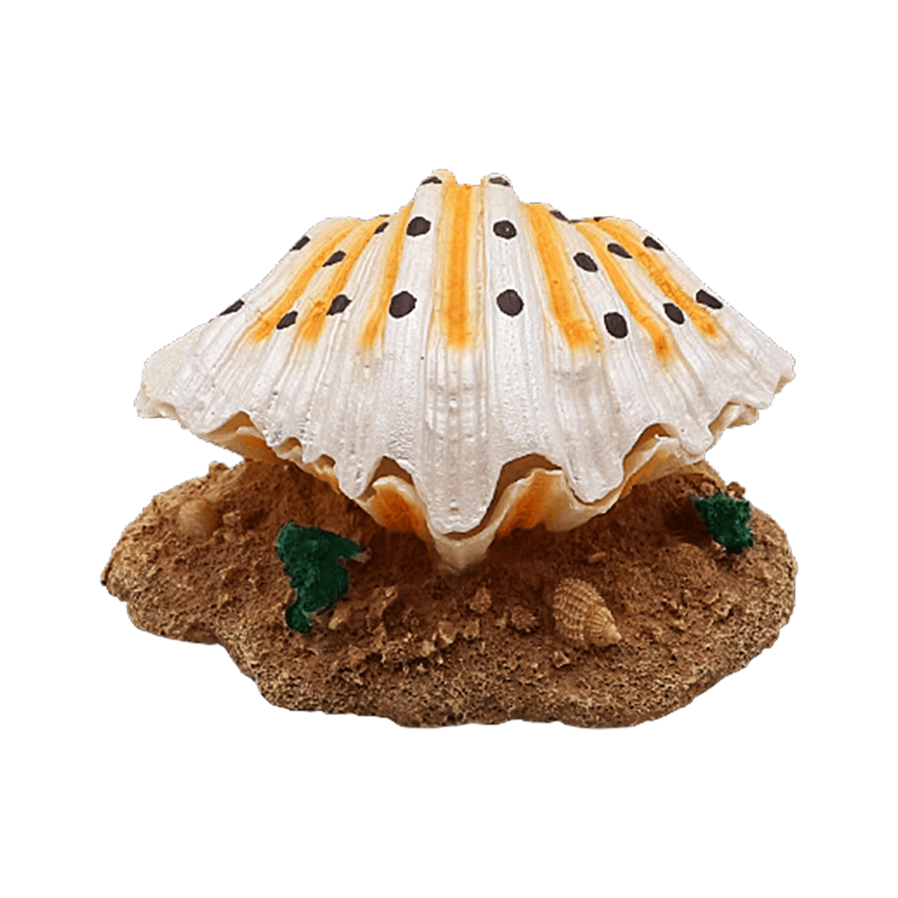 Swell Resin Clamshell