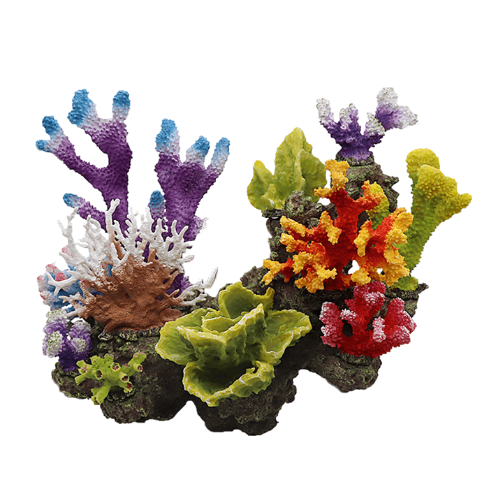 Swell Artificial Coral Reef