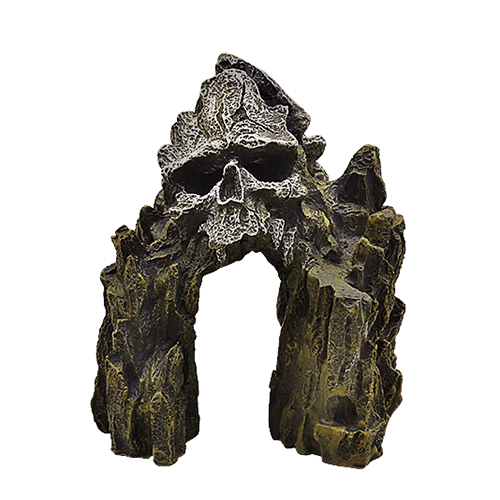 Swell Skull Mountain Cave