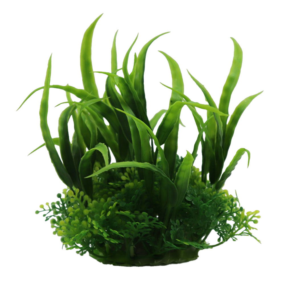 Swell Narrow Green Echinodorus Combination Artificial Plant