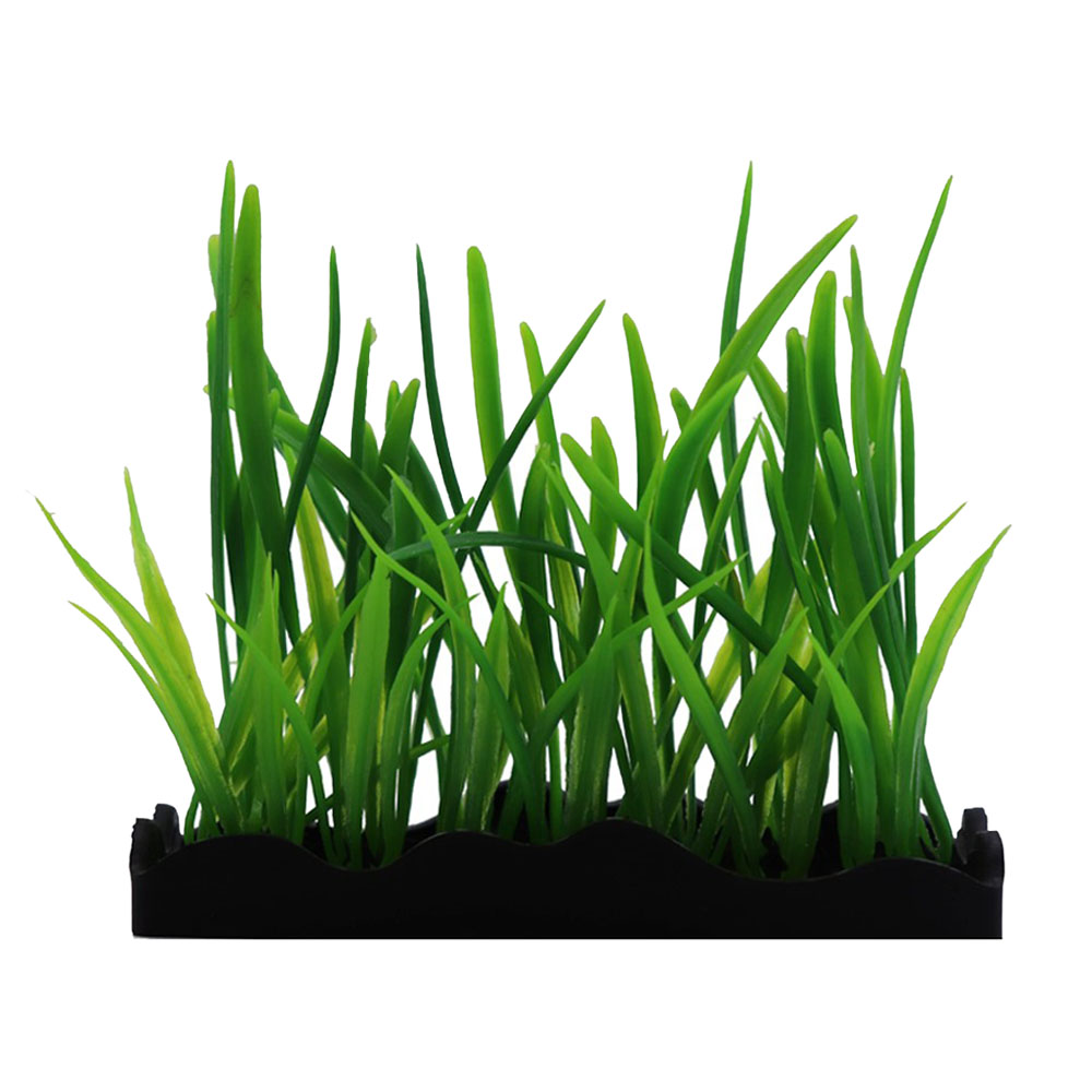 Swell Dwarf Sagittaria Artificial Plant Tray