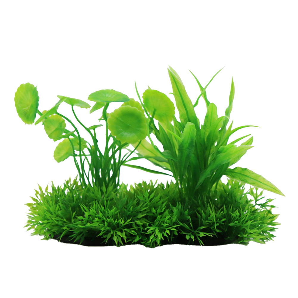 Swell Hydrocotyle & Echinodorus Combination Artificial Plant