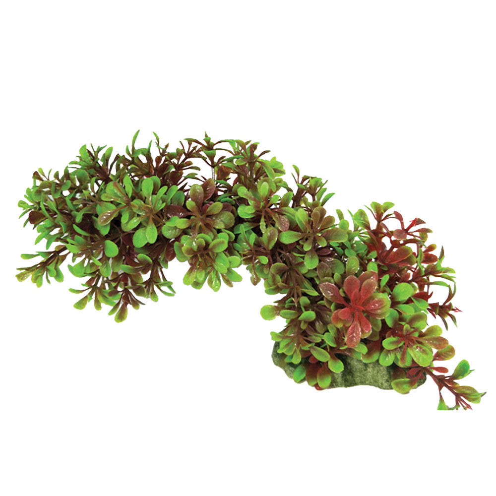 Swell Green & Red Trailing Leaves Artificial Plant 
