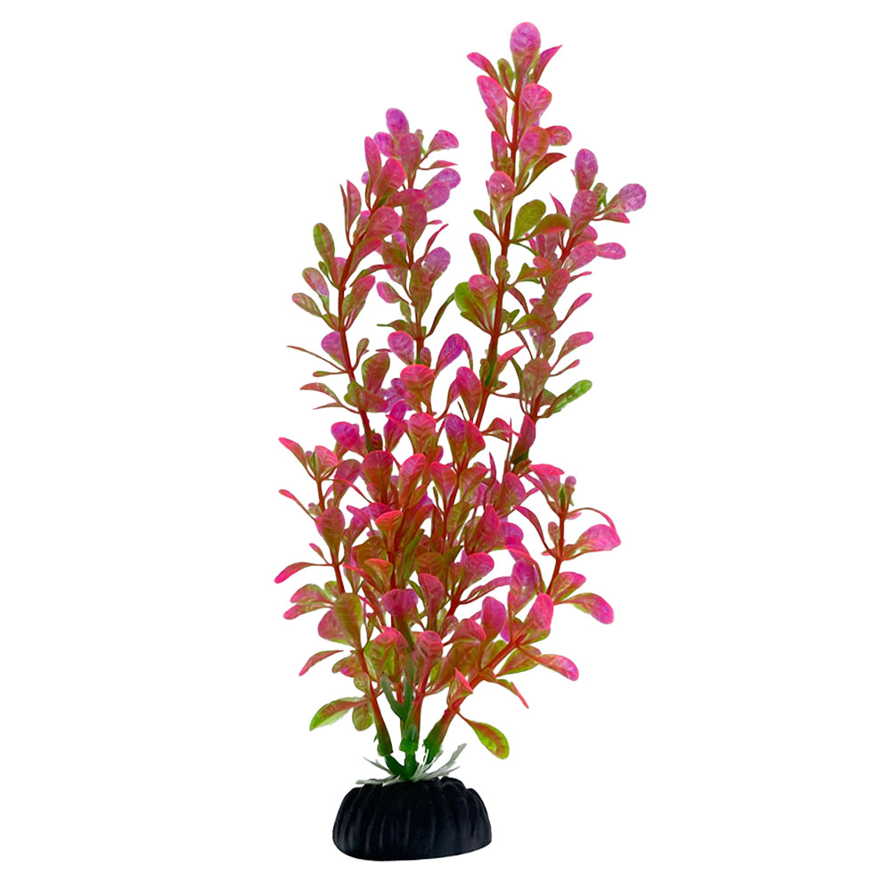 Swell Pink Moneywort Artificial Plant