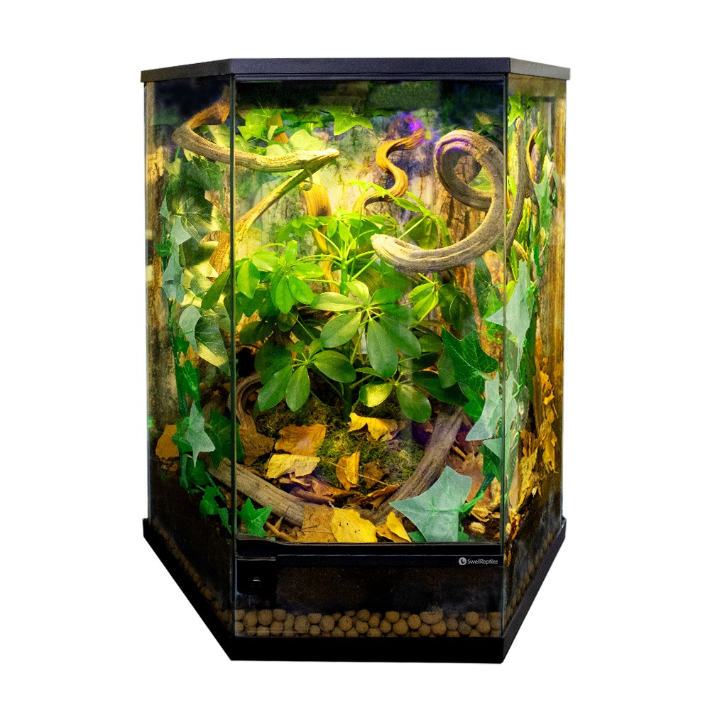 Swell Hexagon Terrarium 49x42x57cm