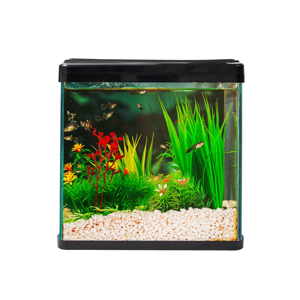 Swell Aquaventure Aquarium 30cm Black - 18.5L