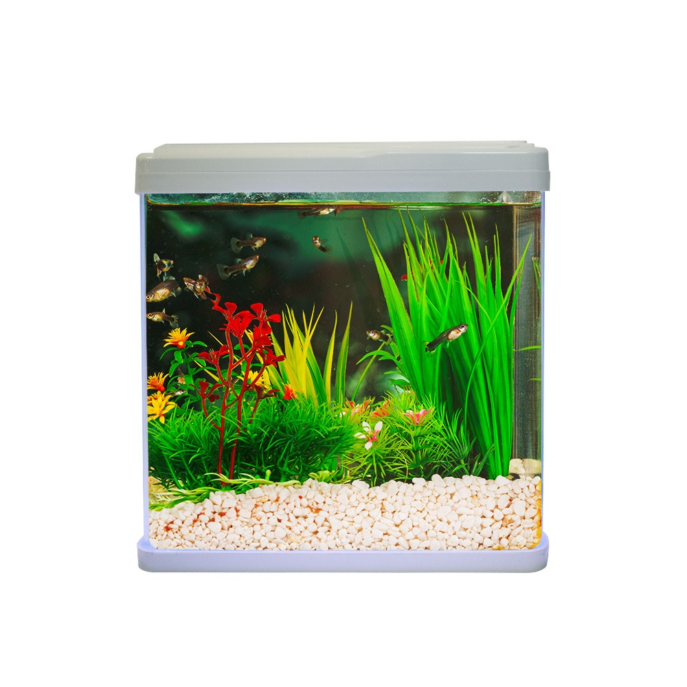 Swell Aquaventure Aquarium 30cm White - 18.5L