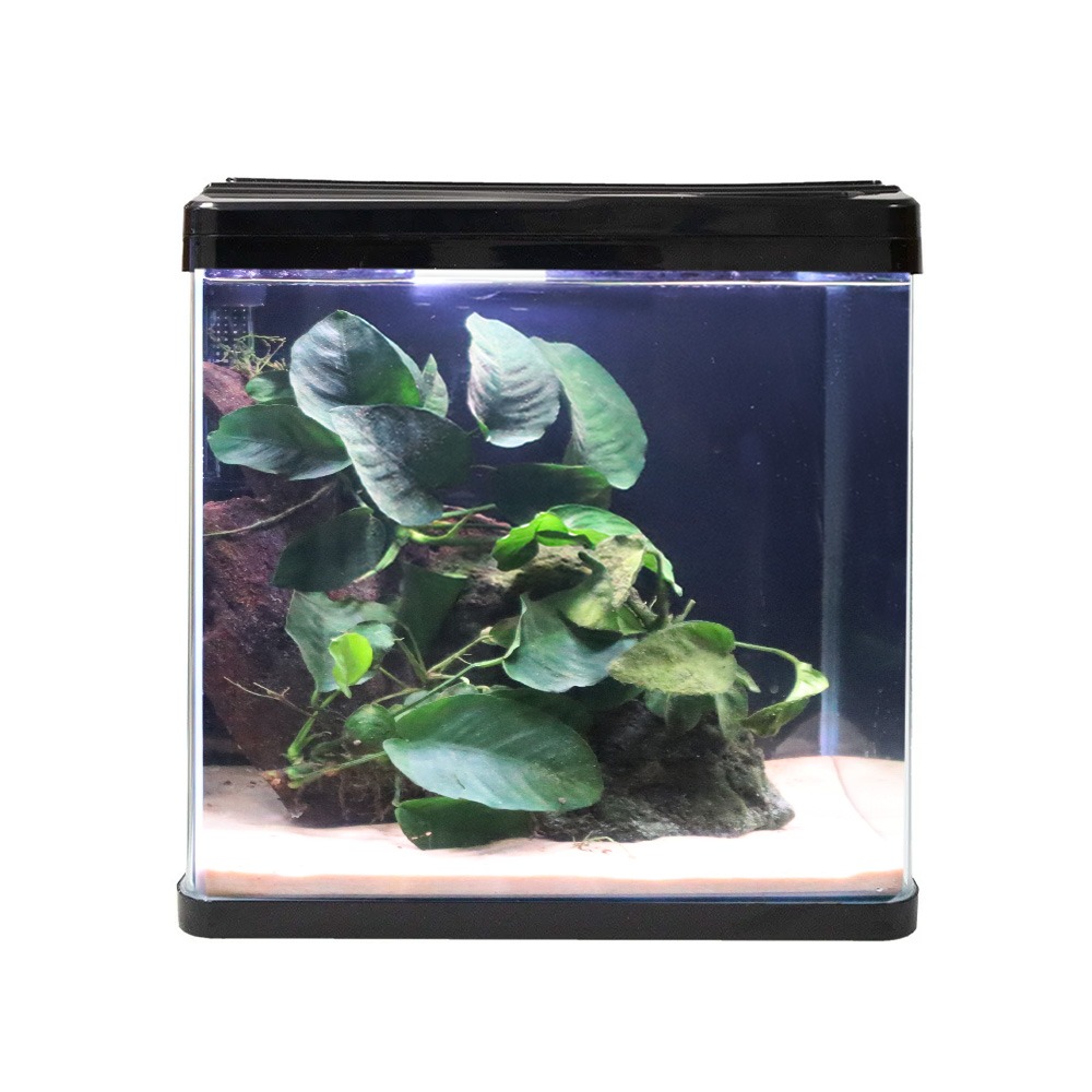 Swell Aquaventure Aquarium 38cm Black - 30L