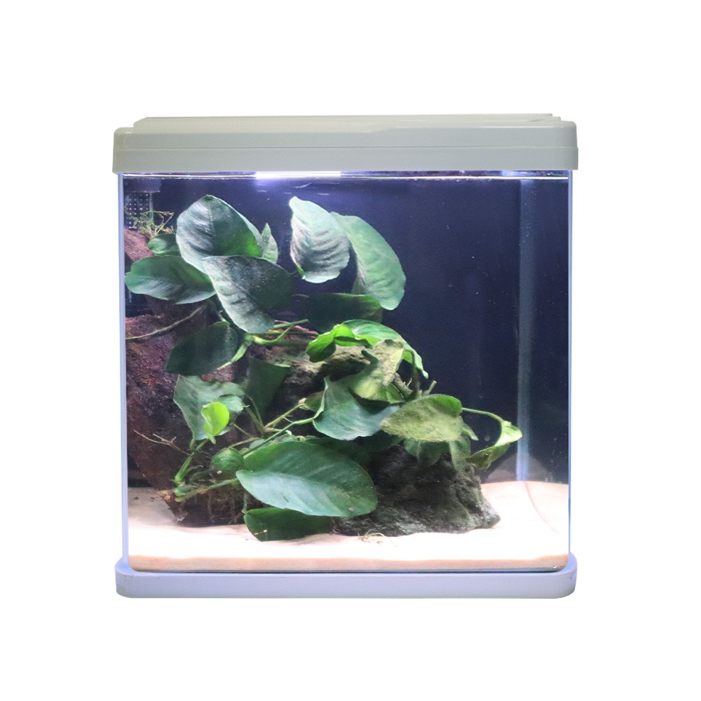 Swell Aquaventure Aquarium 38cm White - 30L