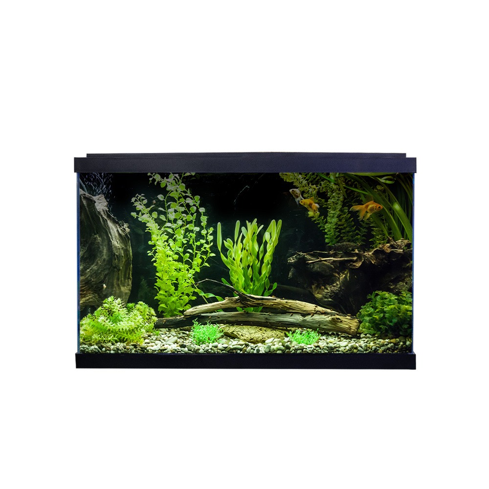 Swell Premium 50cm Tropical Aquarium Kit - 38L