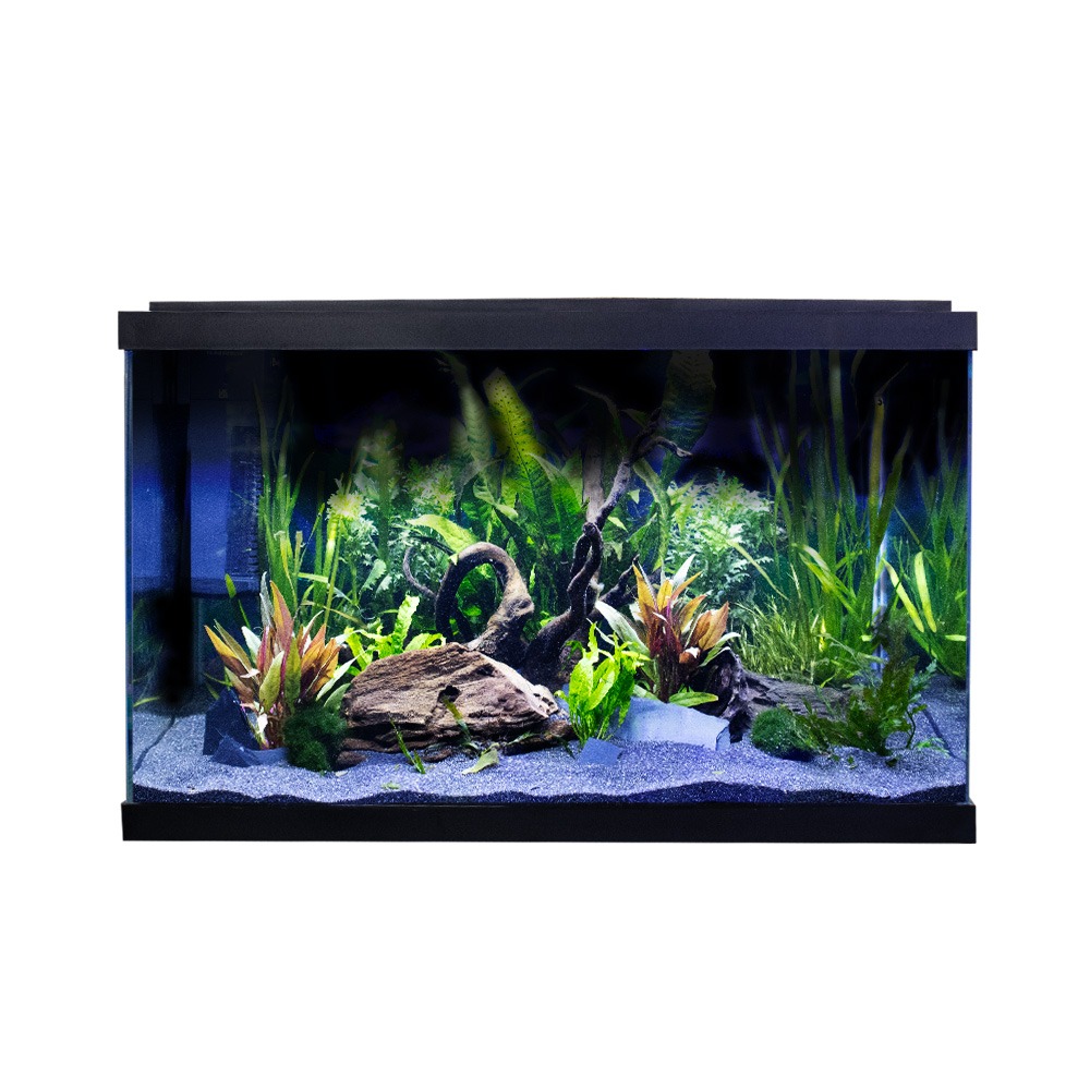Swell Premium 60cm Tropical Aquarium Kit - 57L