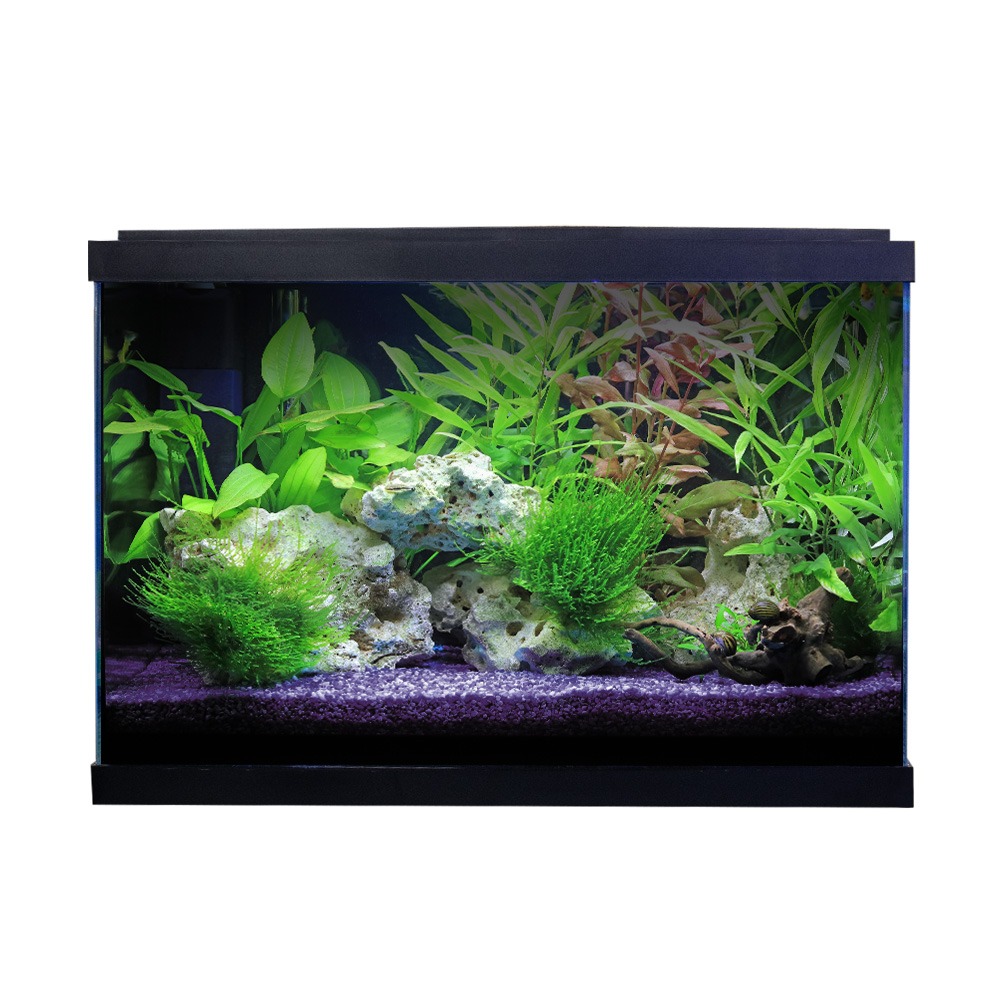 Swell Premium 62cm XL Tropical Aquarium Kit - 76L