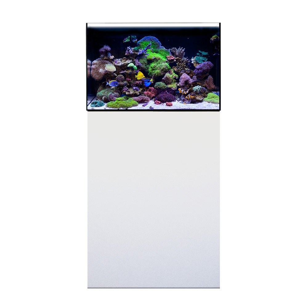 Swell Atoll 60 120L Marine Aquarium Kit - 60cm